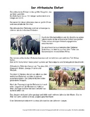 Afrikanischer-Elefant-Steckbrief.pdf